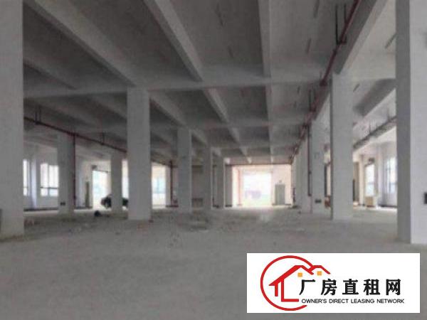  万江标准一楼厂房500平方800或1000㎡出租