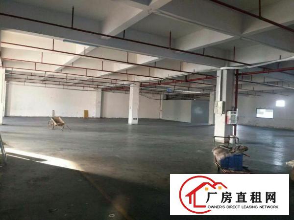  万江标准一楼厂房800或1000㎡出租(配套齐全