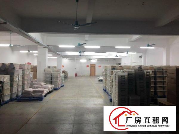  万江独门独院厂房111111111