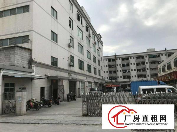  出租万江江滨花园万江石美万江漂亮工业园厂房仓库出租