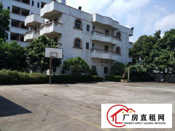  万江石美万江客运总站万江区大量新厂房仓库平价推
