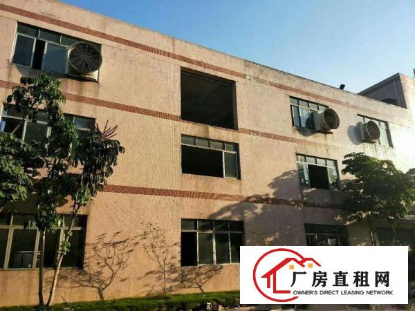  出租万江客运总站万江滘联工业区钢结构厂房出租