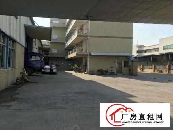 出租万江客运总站出租新河低价厂房出租电装修齐