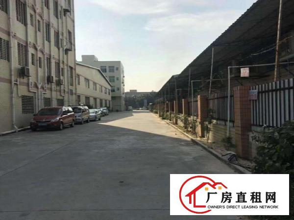  出租万江客运总站出租新河低价厂房出租电装修齐