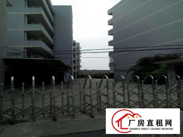  出租万江客运总站出租新河低价厂房出租电装修齐