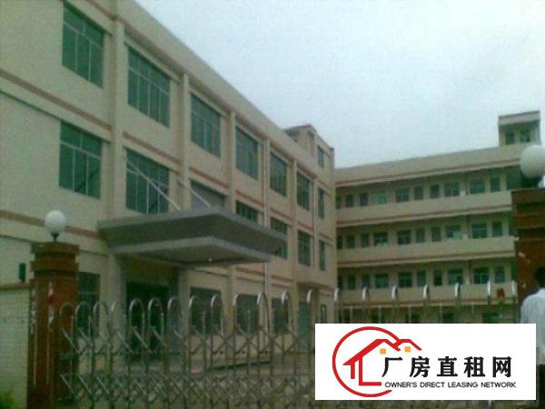  万江周边一楼厂房出租5001500、2000平方出租可分租