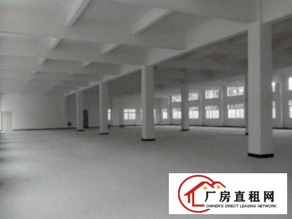  万江独院厂房一栋1-3楼出租共5000平方,形象好带2吨电梯