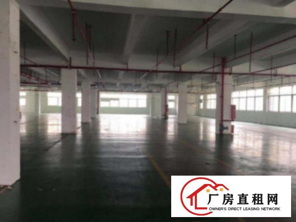  万江107国道边出租楼上二楼3000方有装修的厂房