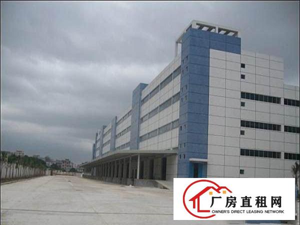  万江石美管理一楼仓库、大型一楼物流园园仓