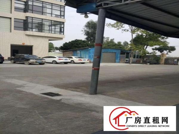  出租万江客运总站出租万江万江中心万江周边新房源:单层独院小