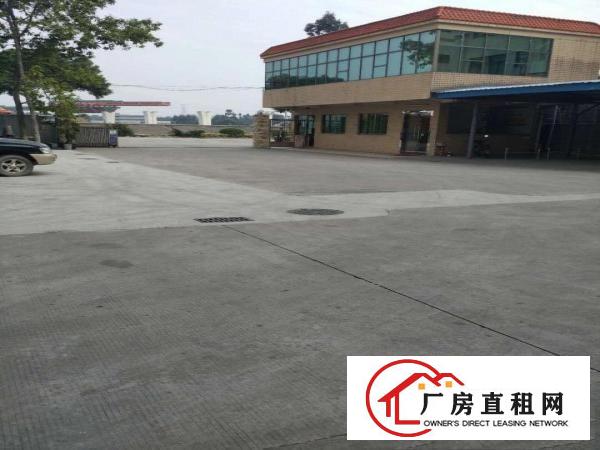  出租万江客运总站出租万江万江中心万江周边新房源:单层独院小