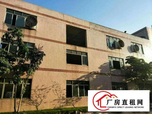  出租万江石美万江周边中小型独院厂房全新单一层铁皮厂房出租