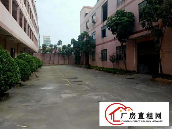  出租万江石美万江周边中小型独院厂房全新单一层铁皮厂房出租