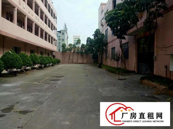  出租万江石美万江周边中小型独院厂房全新单一层铁皮厂房出租