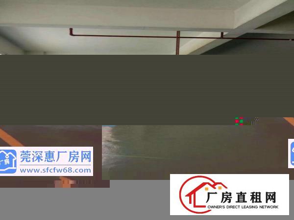  出租万江石美万江周边中小型独院厂房全新单一层铁皮厂房出租