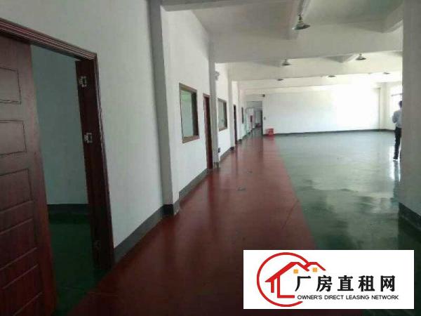  出租万江石美万江周边中小型独院厂房全新单一层铁皮厂房出租