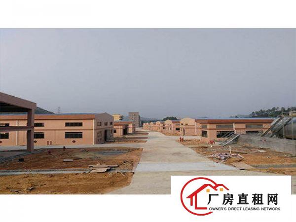  出租万江客运总站万江中心道滘小型仓库厂房直租,水电齐