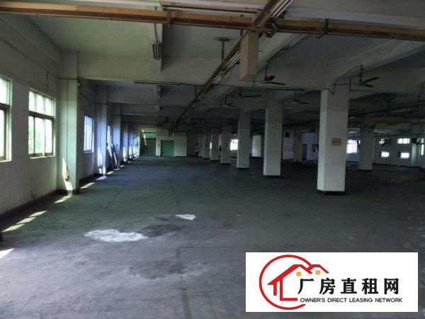  出租万江客运总站万江中心道滘小型仓库厂房直租,水电齐