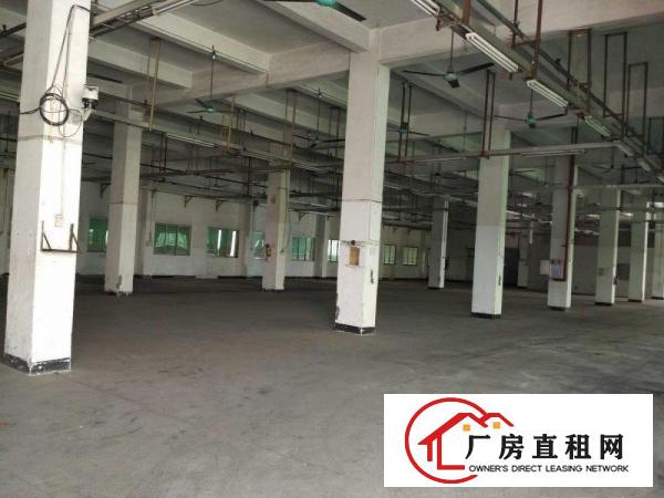  出租万江客运总站万江中心道滘小型仓库厂房直租,水电齐