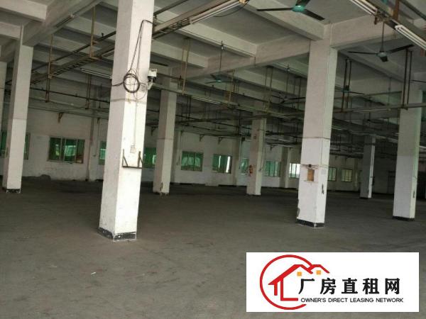  出租万江客运总站万江中心道滘小型仓库厂房直租,水电齐