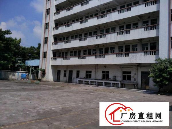  出租万江客运总站万江中心道滘小型仓库厂房直租,水电齐