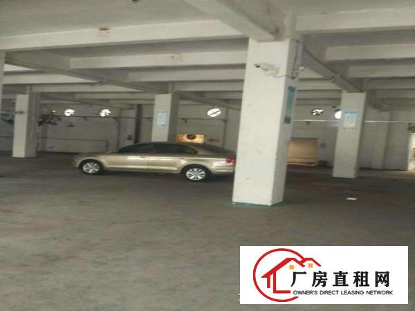  出租万江万江周边万江中心标准一楼厂房仓库招租-可托管