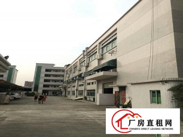  万江工业区标准一楼1000平方招租水电齐全五金加工福音