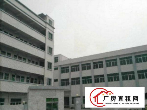  万江标准一楼厂房870平米低价招租用电量可达2000KVA