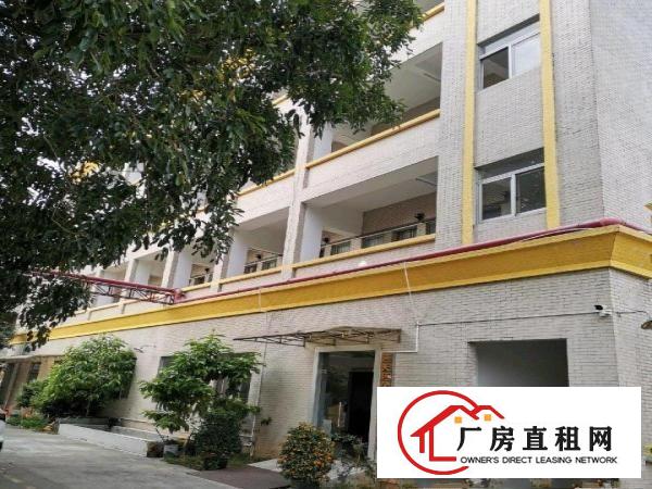  村委厂房，交通方便。