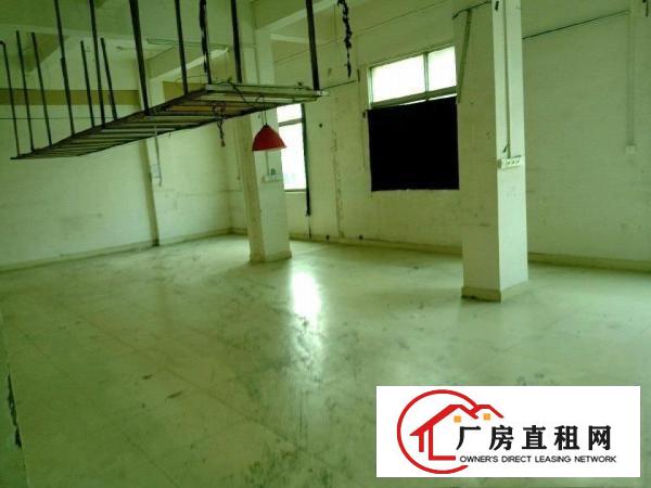  简沙洲原房东1400平米厂房出租
