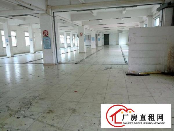  简沙洲原房东1400平米厂房出租