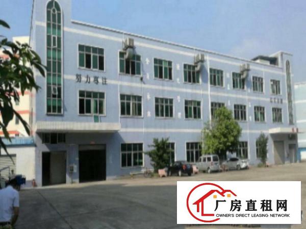  万江流涌尾新出独院标准一楼厂房1400平方出租有宿舍和饭堂配