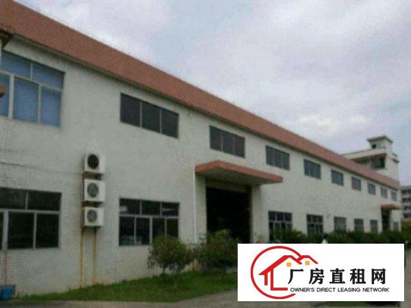  万江独院4500平方单一层厂房仓库出租电315，空地大