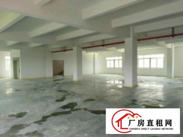  万江石美新出独院标准厂房一楼1700平方出租可分租