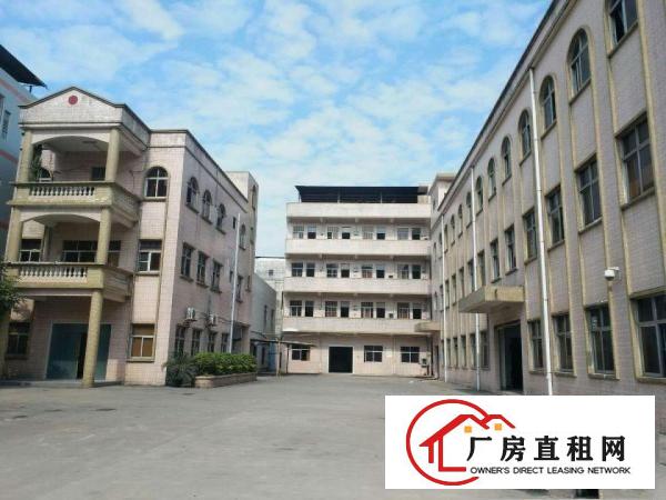  万江石美厂区环境好工业区标准一楼1000平方招租水电齐全