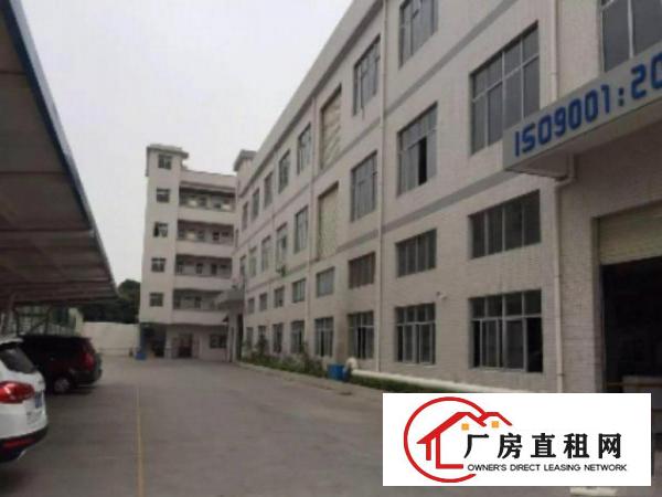  万江带现成装修标准一楼6000或1800平方招租地板漆车间，