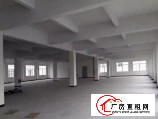  万江带现成装修标准一楼600或1000平方招租现成水电，宿舍