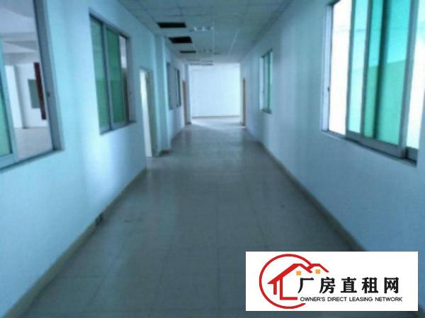  万江带现成装修标准一楼600或1000平方招租现成水电，宿舍