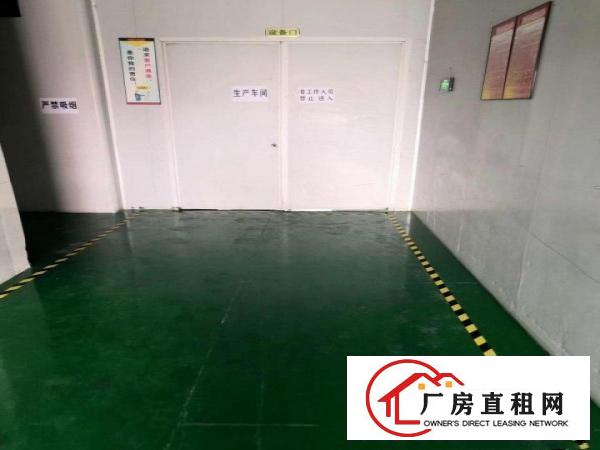  石美茶叶街厂房可分租