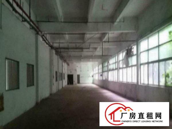  万江工业园楼上带装修厂房分租1500平方出租喷淋消防，带货梯
