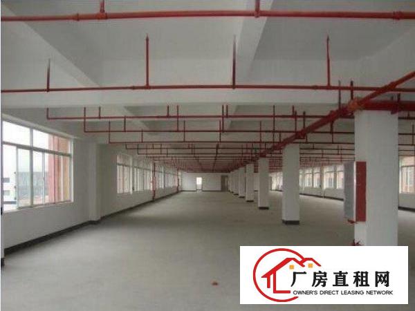  万江周边工业区标准厂房出租一楼2000平方出租货柜随便掉头