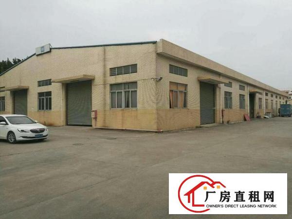  万江独院单一层钢构厂房出租3700平出租可分租配电400千瓦