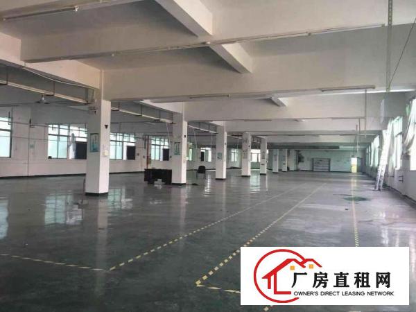  万江工业区标准一楼900平方招租水电齐全五金塑胶等行业