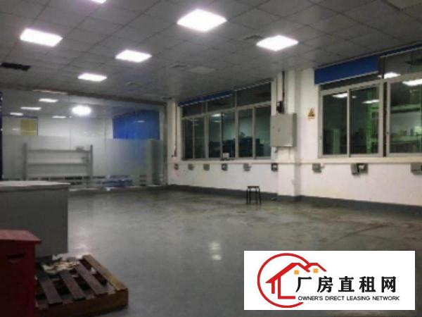  万江简沙洲标准厂房楼上三楼2300平方带消防喷淋出租带无尘车