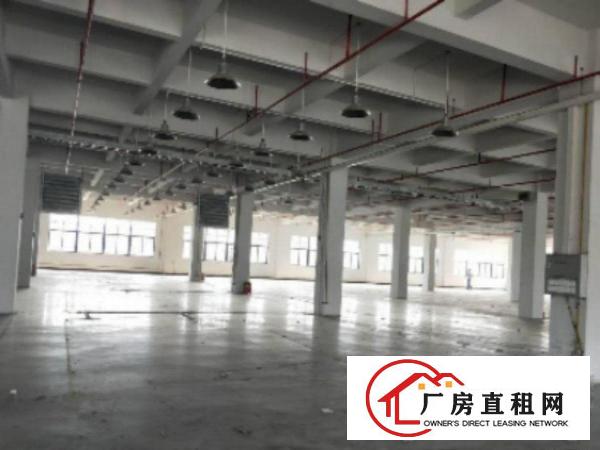  万江工业区标准一楼1000平方招租水电齐全五金塑胶等行业