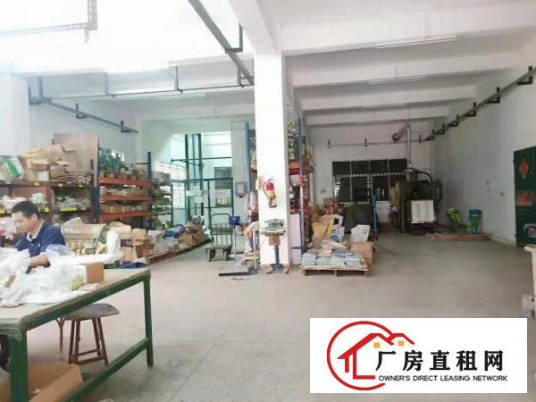  石美万江客运总站万江独院10000平标准厂房