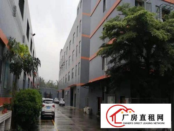  万江客运总站出租万江周边莞万江水蛇涌全新独门独院厂房出租