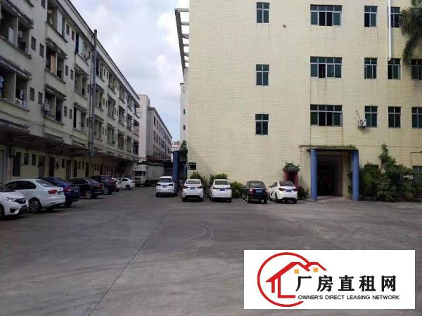  万江客运总站出租万江周边莞万江水蛇涌全新独门独院厂房出租