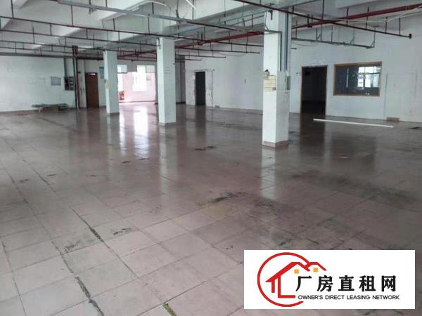  万江客运总站出租万江周边莞万江水蛇涌全新独门独院厂房出租