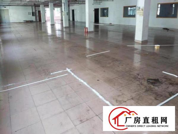  万江客运总站出租万江周边莞万江水蛇涌全新独门独院厂房出租